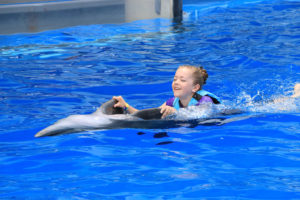 Swimming with Dolphins - Gulf World, Panama City, FL